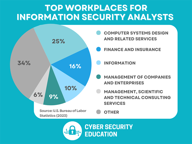 Information Security Analyst